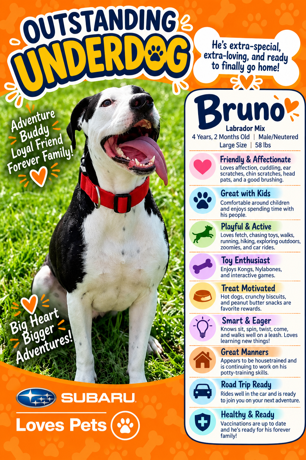 Bruno, photo 5 of 6