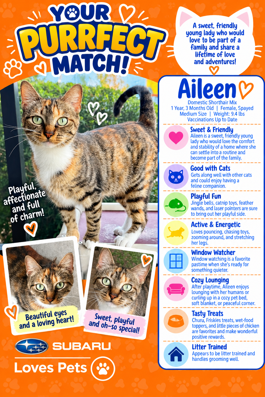 Aileen