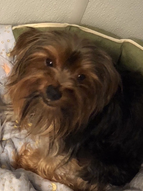 Max